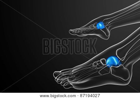 3D Render Illustration Of The Talus Bone