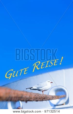 Seagull and Harbor Travel Scene - Gute Reise (German, Bon Voyage)
