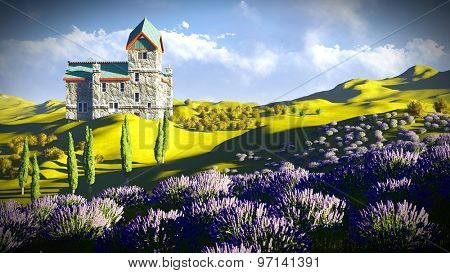 Lavender fields 