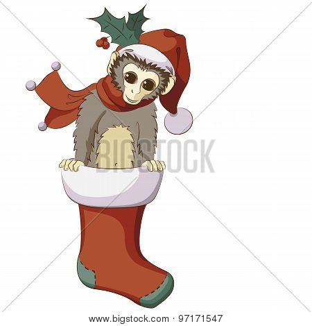 Little Monkey Popping Out From Christmas Stocking