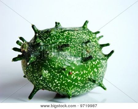 agurk