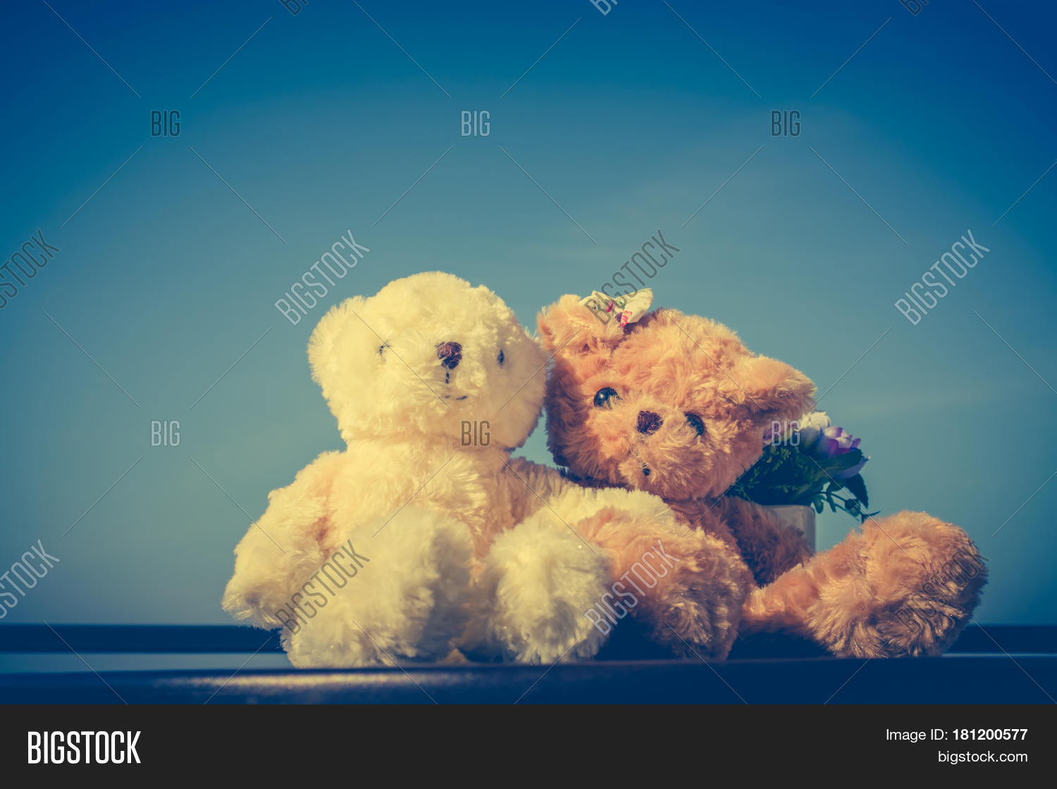 Image Preview