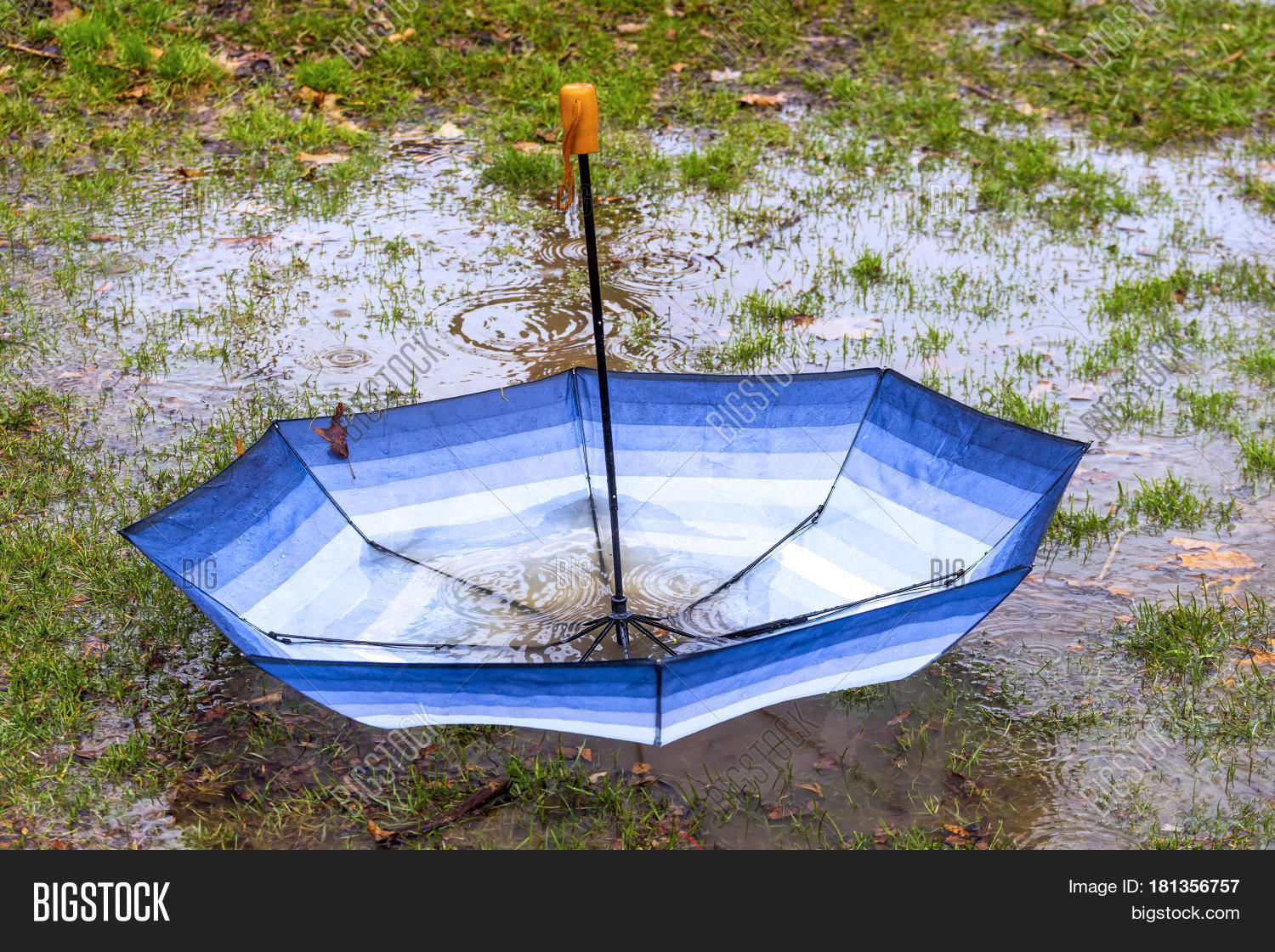 Upside Down Umbrella Image & Photo (Free Trial) Bigstock