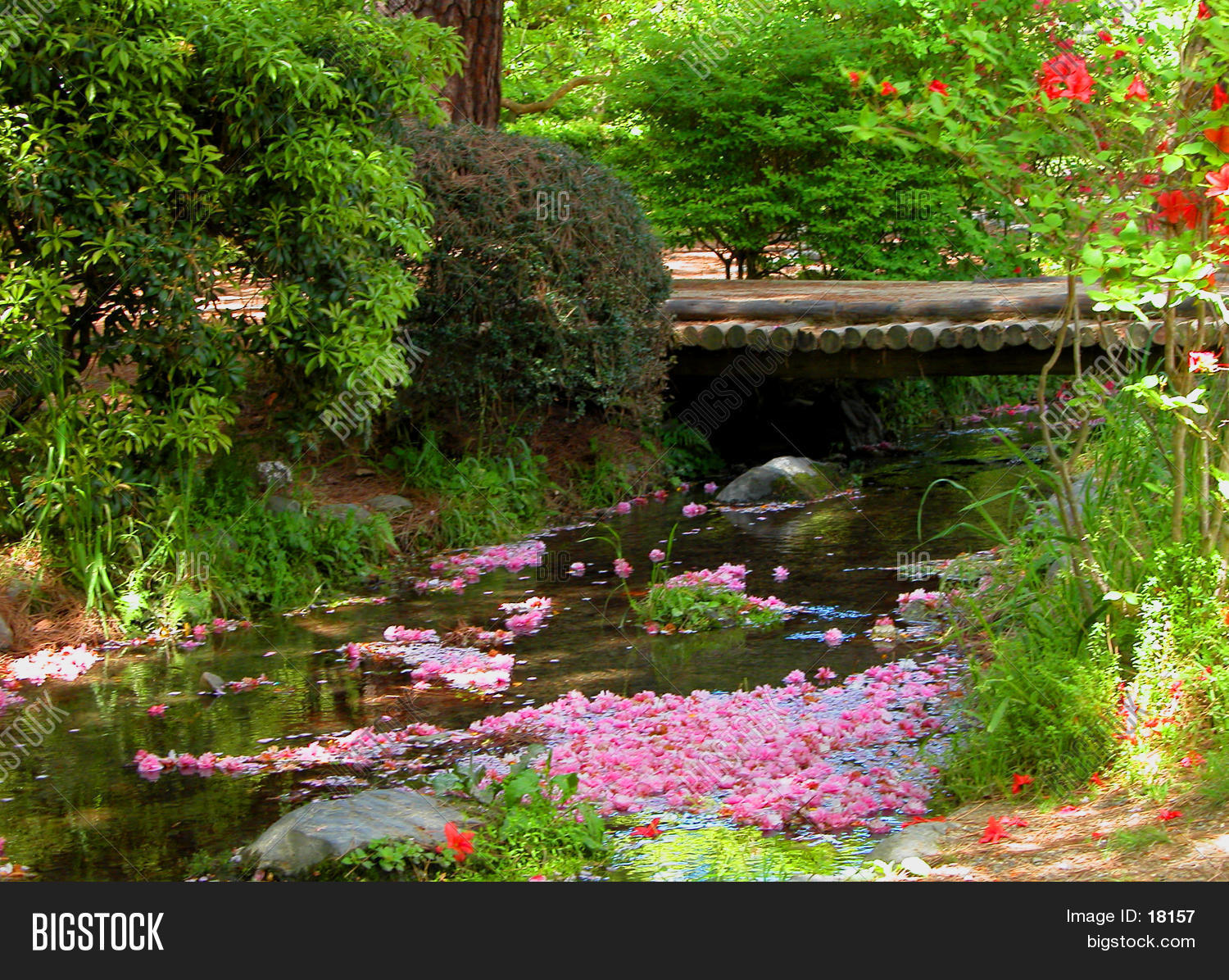 Spring River Image & Photo (Free Trial) | Bigstock