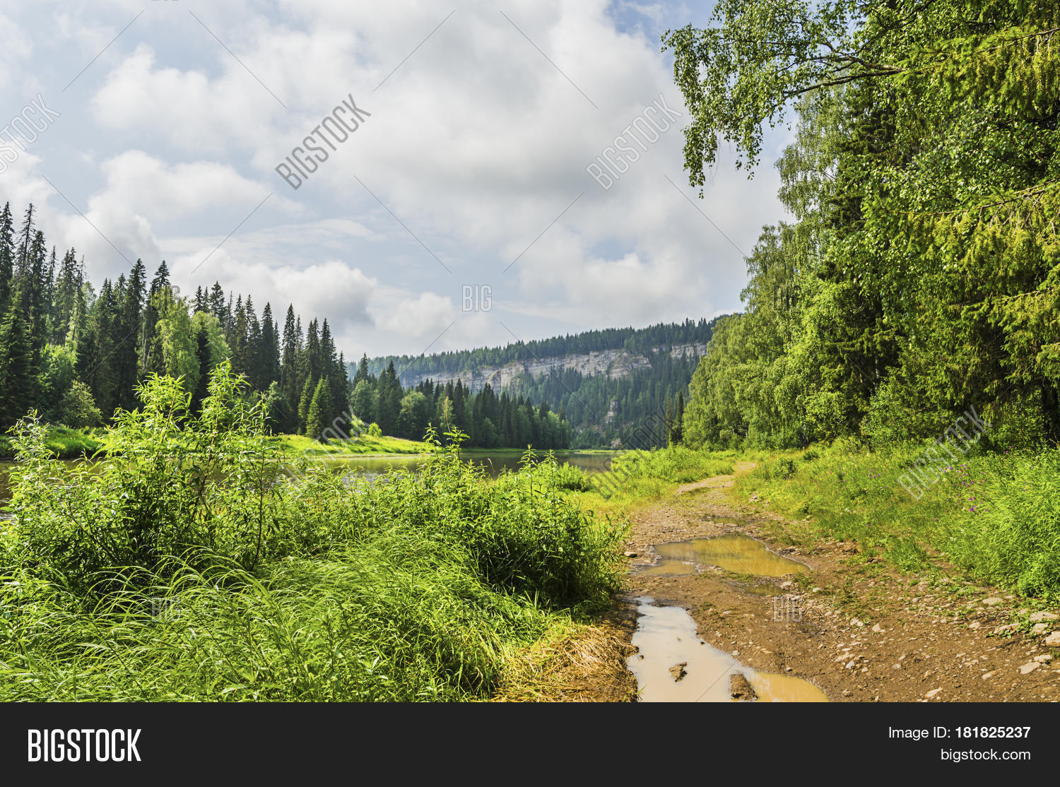 Image Preview