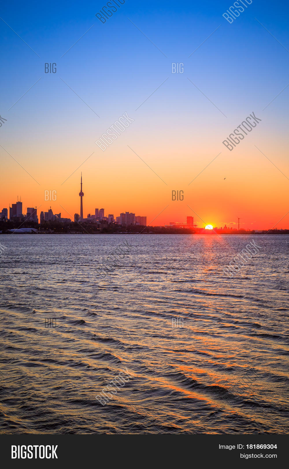 Image Preview