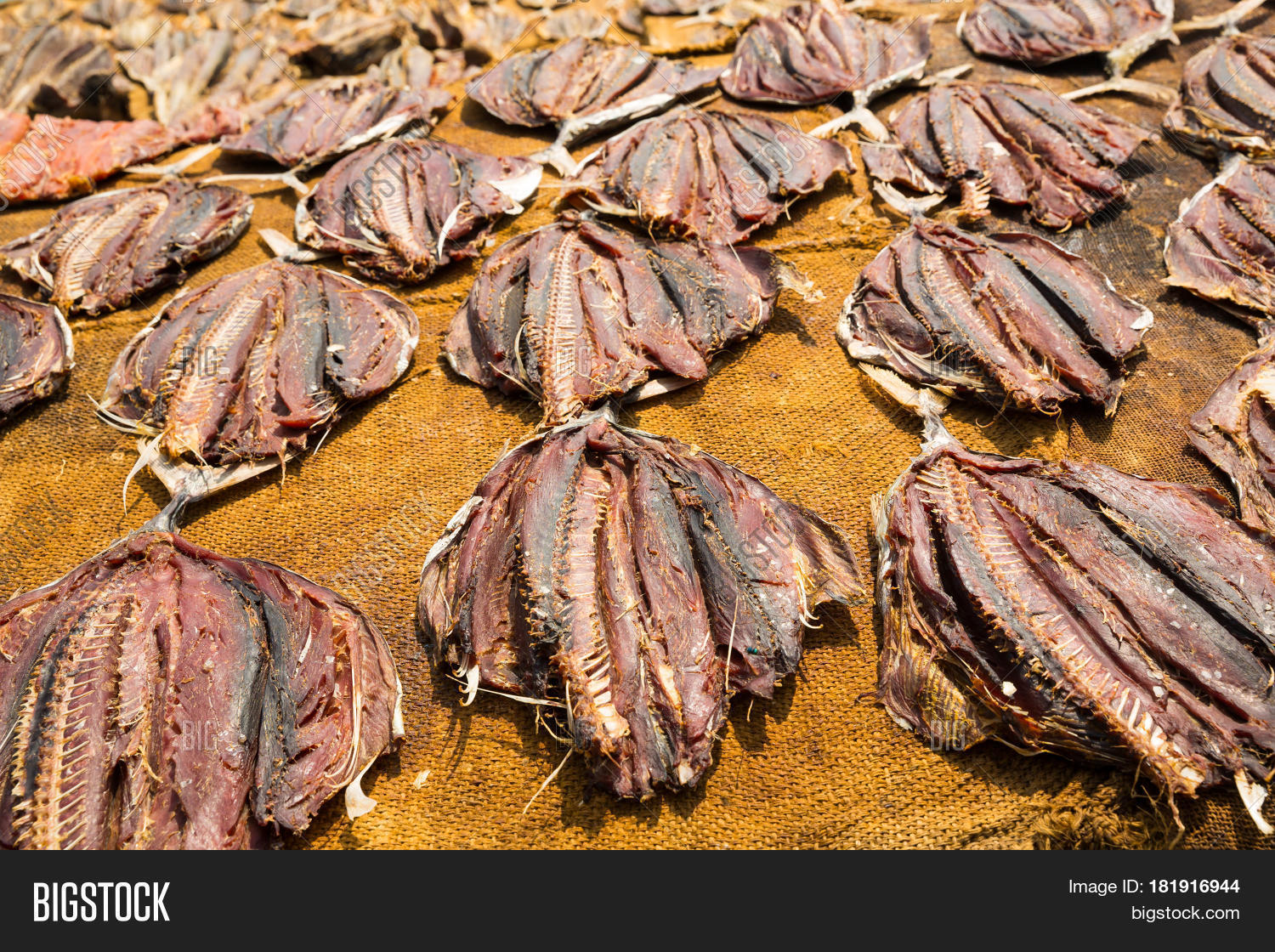 Tuna Drying Process On Image & Photo (Free Trial) Bigstock