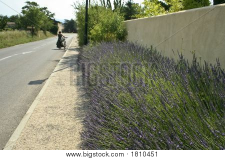 Kolo Lourmarin