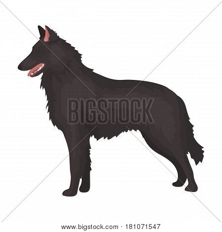 The dark Belgian wolf. Belgium single icon in cartoon style vector symbol stock web illustration.