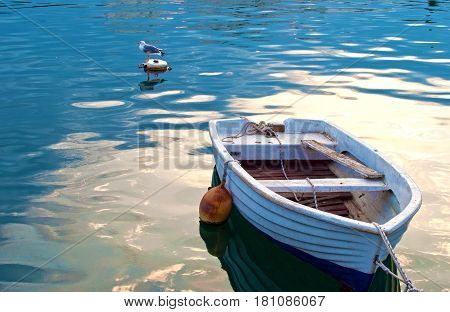 One Old White Boat And A Seagull
