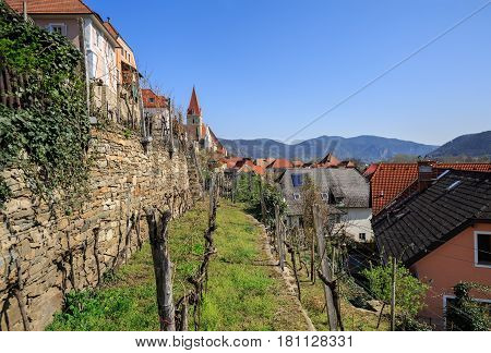 Market town of Weissenkirchen in der Wachau with terraced vineyards in the foreground. The District of Krems-Land, Lower Austria.