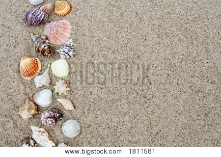 Shell