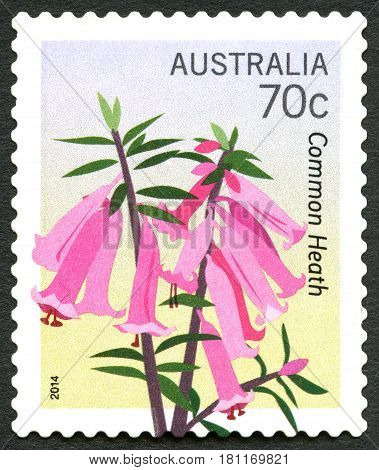 AUSTRALIA - CIRCA 2014: A used postage stamp from Australia depicting an illustration of a Common Heath plant circa 2014.