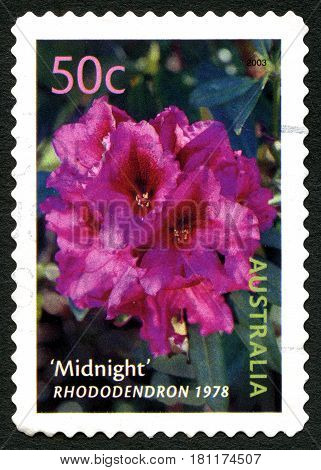 AUSTRALIA - CIRCA 2003: A used postage stamp from Australia depicting an image of a Rhododendron flower circa 2003.