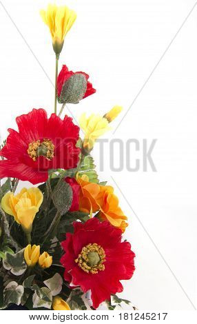 red and yellow flowers on white backgound