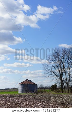 Single grain bin, vertical in rural setting with tree, crop fields, blue skies and fluffy white clouds