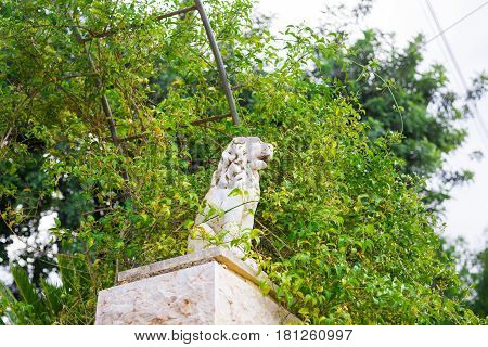 Stone lion statue is situated in front of hotel
