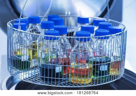 Laboratory test tube shaker. blue red green