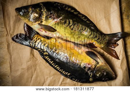 Fresh raw mirror carp fish on craft paper top view rustic minimalist style