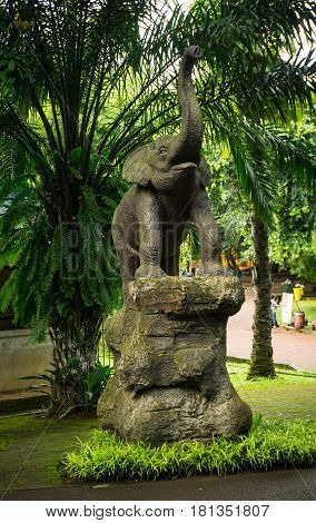elephant statue standing on rock in front of palm tree photo taken in Ragunan zoo Jakarta Indonesia java