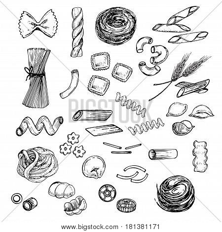 hand drawn sketch illustration pasta on the white background