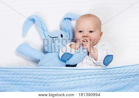 Baby Boy Playing With Bunny Toy In Bed
