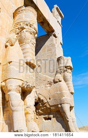 In Iran          Persepolis