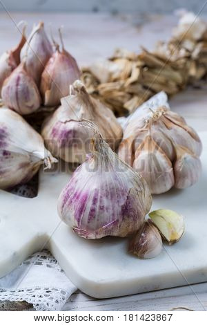 Garlic. Dried French garlic. Red garlic. Violet garlic.Garlic background. garlic bulbs on white marble.