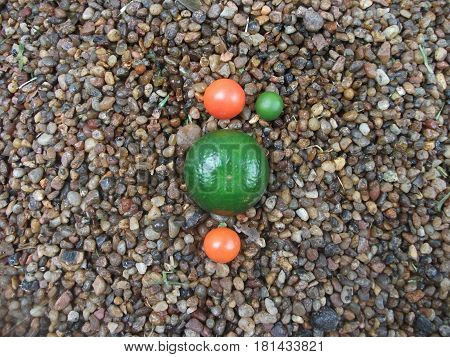 Abstract with orange and green miniature fruits on a stones surface