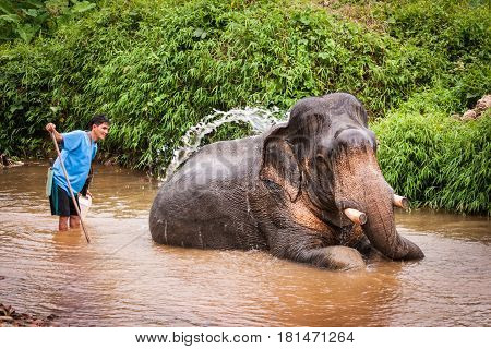 Bathing Elefant Mahout, Khao Sok Sanctuary, Thailand