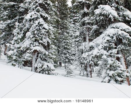 Scena di inverno nevoso