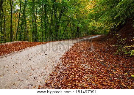 autumn road passing in the mountains in late autumn after rain