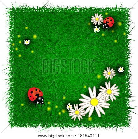 Eco design template with flowers and ladybugs