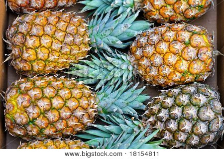 Ananas