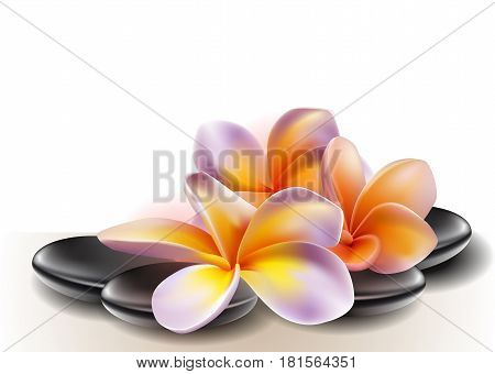Spa concept zen stones and frangipani flowers