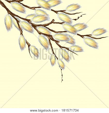 Beautiful and delicate card from branches of willow