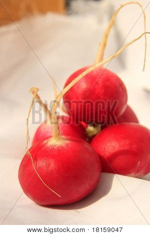 Rote rötliche