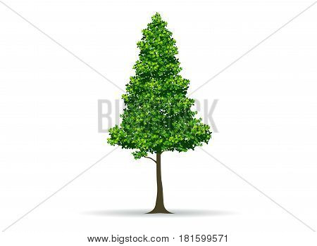 tree and leaftree branch realistic tree vector illustration