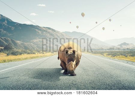 Rhino on asphalt road . Mixed media