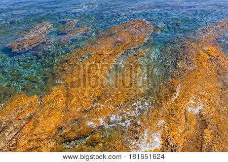 Colorful natural texture with blue sea and yellow rocks close up view
