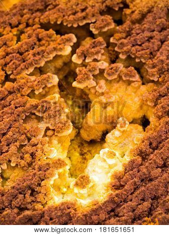 Mineral formations at sulphur lake Dallol in a volcanic crater in the Danakil Depression northeast of the Erta Ale Range in Ethiopia. The lake with its sulphur springs is the hottest place on Earth.