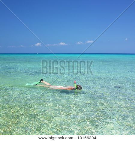 snorkling, Maria la Gorda, Pinar del Rio provinsen på Cuba