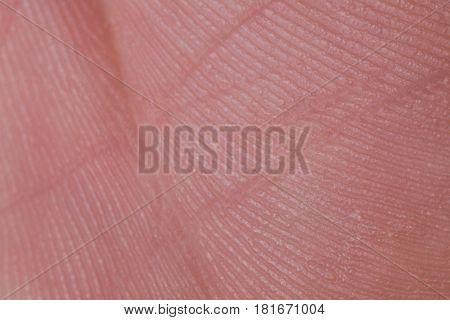 human skin texture up macro of brown person clean skin stock image image of ectoderm images illustrations vectors ectoderm stock photos images bigstock human skin texture up macro of brown person clean skin stock image image of ectoderm images illustrations vectors ectoderm stock photos images bigstock