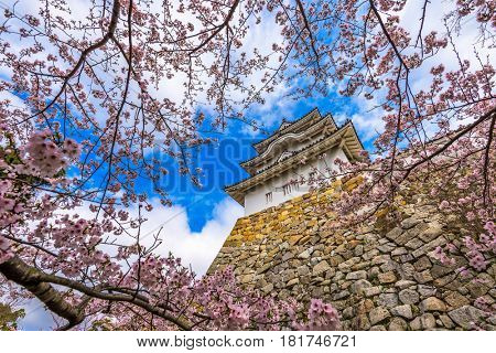 Akashi, Japan at Akashi Castle in spring.
