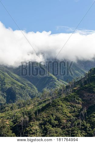 View to the south from the pass Boca da Encumeada in Madeira