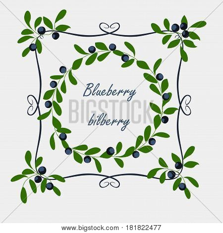 Background with blueberry. Vector background with branches, berries and leaves blueberry.