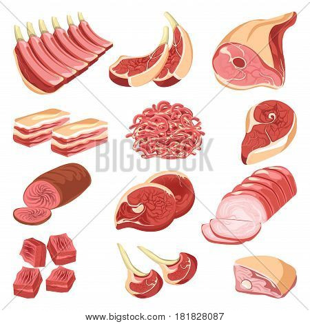 Fresh meat cuts colorful vector collection in flat design on white. Assortment poster of raw and cooked food of animal origin, pieces for barbecue, forcemeat pile, smoked or baked beef or pork.