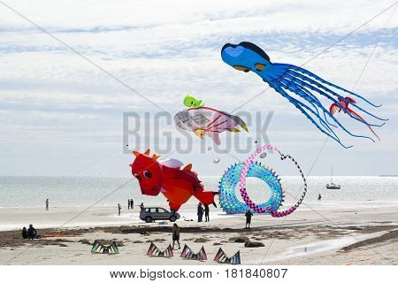 Flying Kites At The Adelaide International Kite Festival