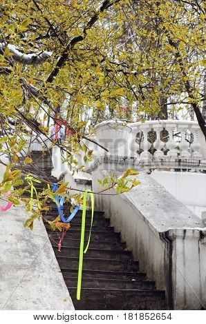 Tree with sacred rags and old concrete stairs with decorative vase and railing