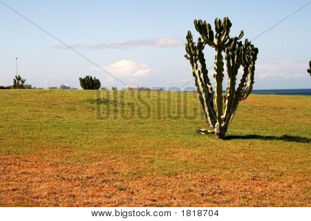 Costa Adeje 20